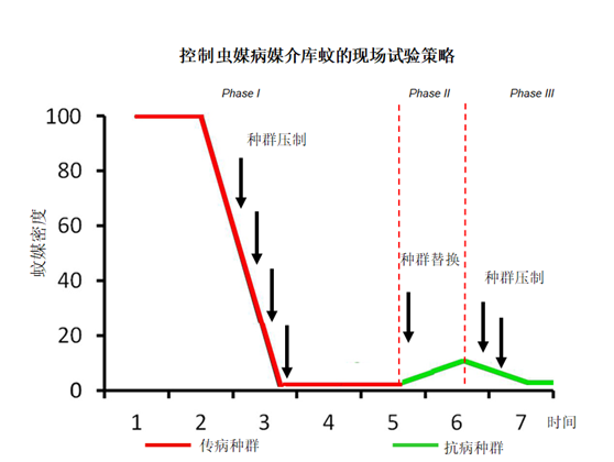 图表, 折线图描述已自动生成